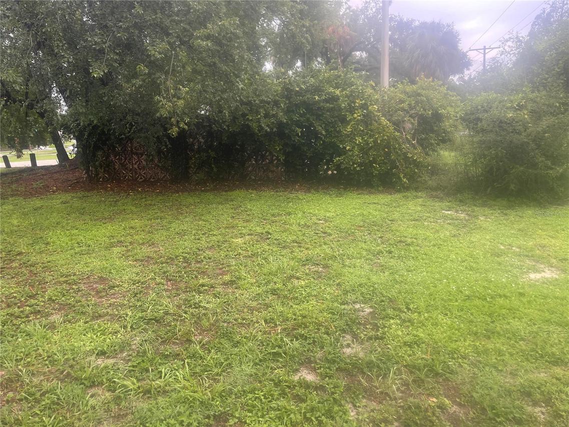 33855 Mandrake Rd., Wesley Chapel, FL 33543