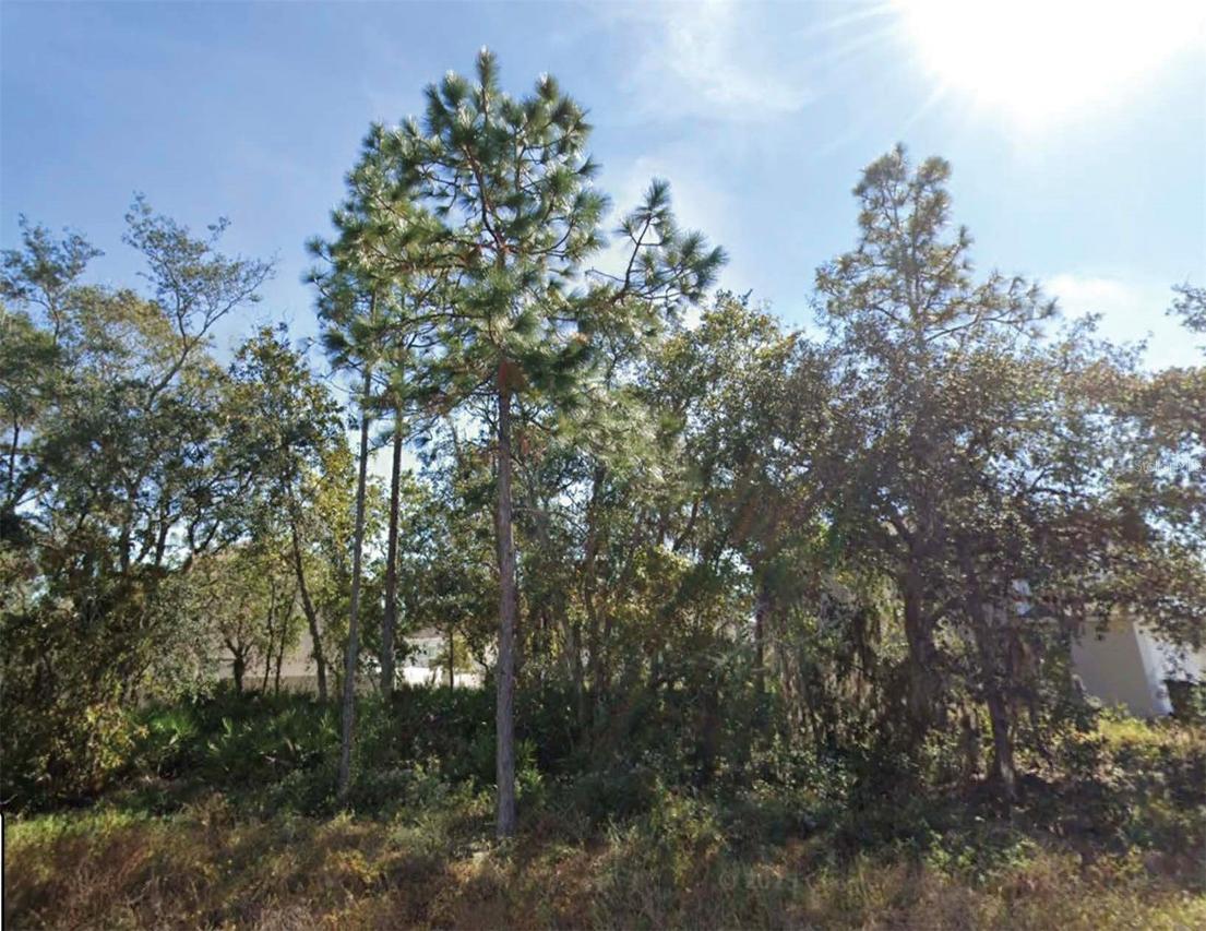 1626 Pilchard Ct., Poinciana, FL 34759