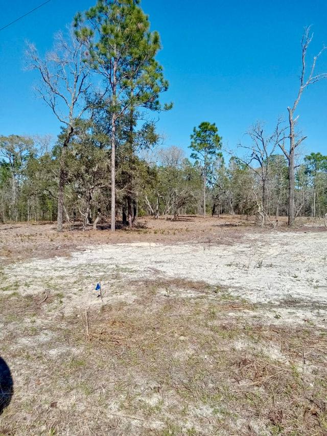 SE 125th Ct., Dunnellon, FL 34431
