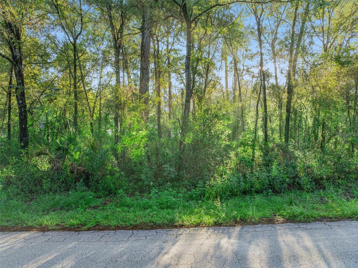 29 N Rooks Ave., Inverness, FL 34453