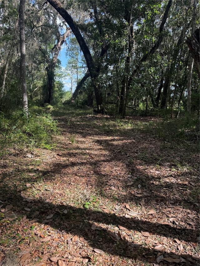 5612 E Highway 316, Citra, FL 32113