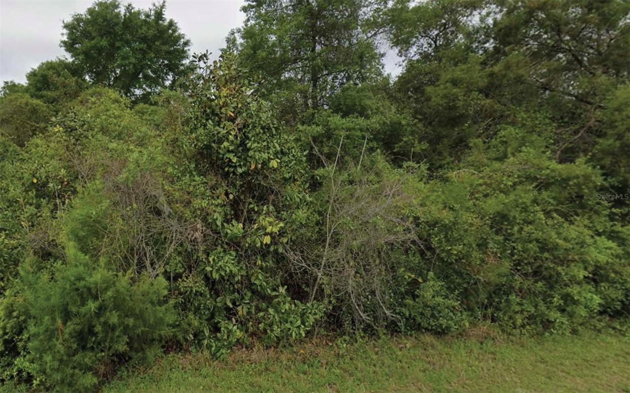 NE 236th Ln., Fort Mc Coy, FL 32134