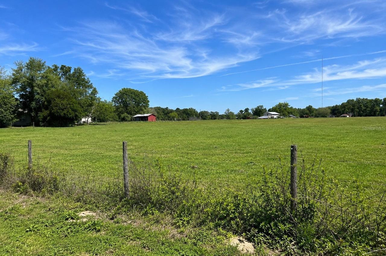 3650 NE 95th St., Anthony, FL 32617
