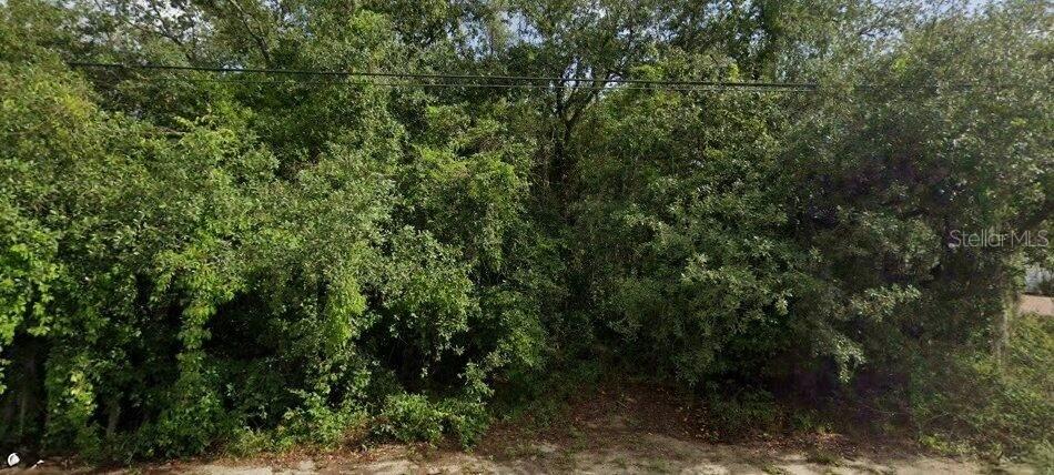 6175 Roxboro St., Spring Hill, FL 34606