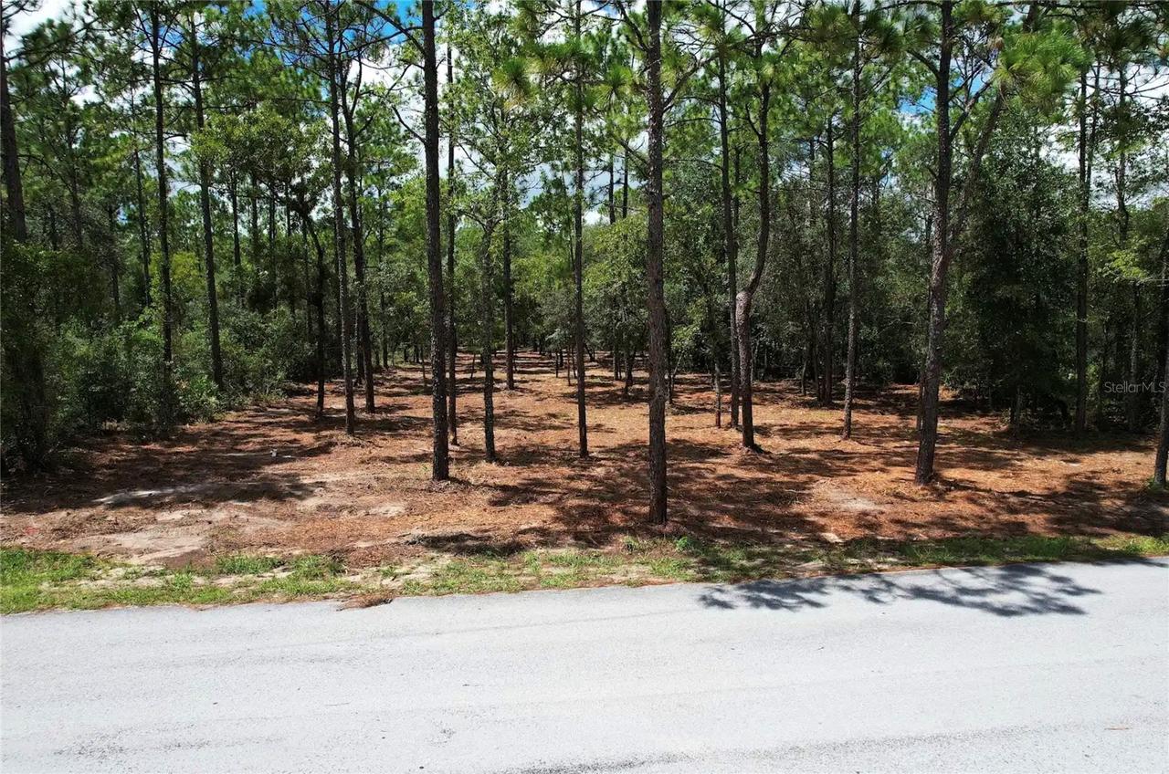 SW 183rd Ter., Dunnellon, FL 34432