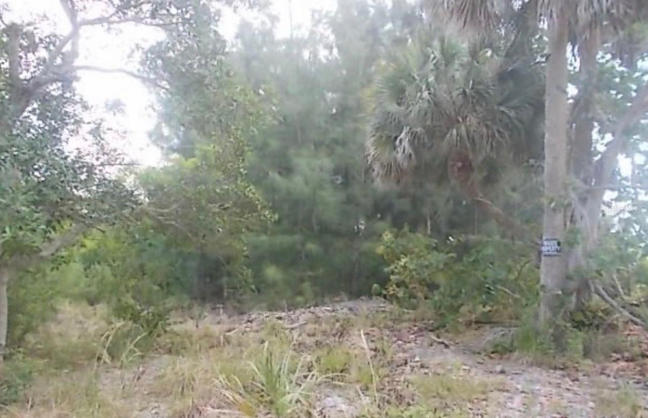 Lot 5 Grant Island Estate, Grant Valkaria, FL 32949