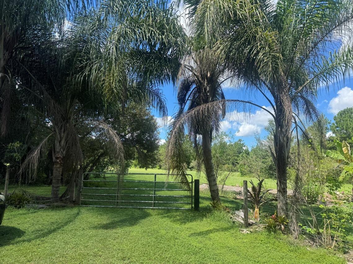4350 Mecca Hammock Tr., Sanford, FL 32773