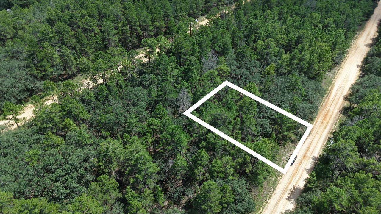Neilsen Ave, Interlachen, FL 32148