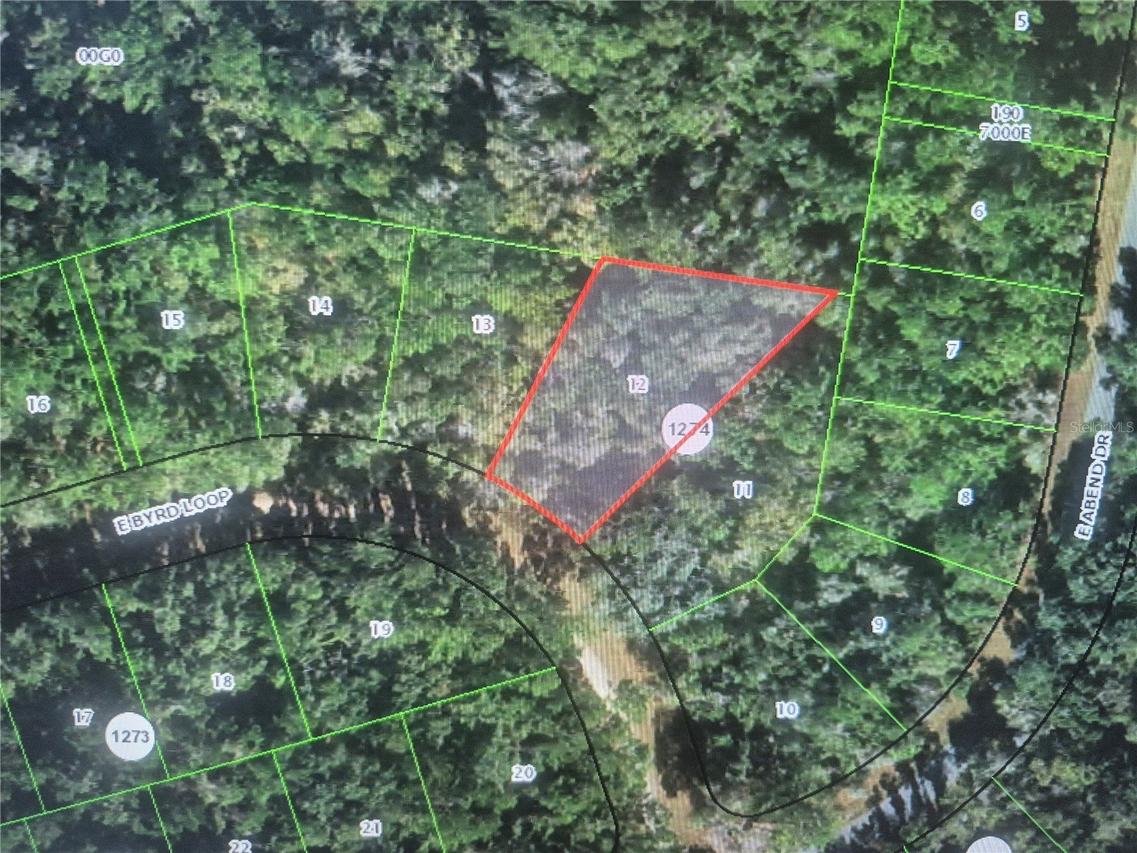 893 E Byrd Loop, Citrus Springs, FL 34434