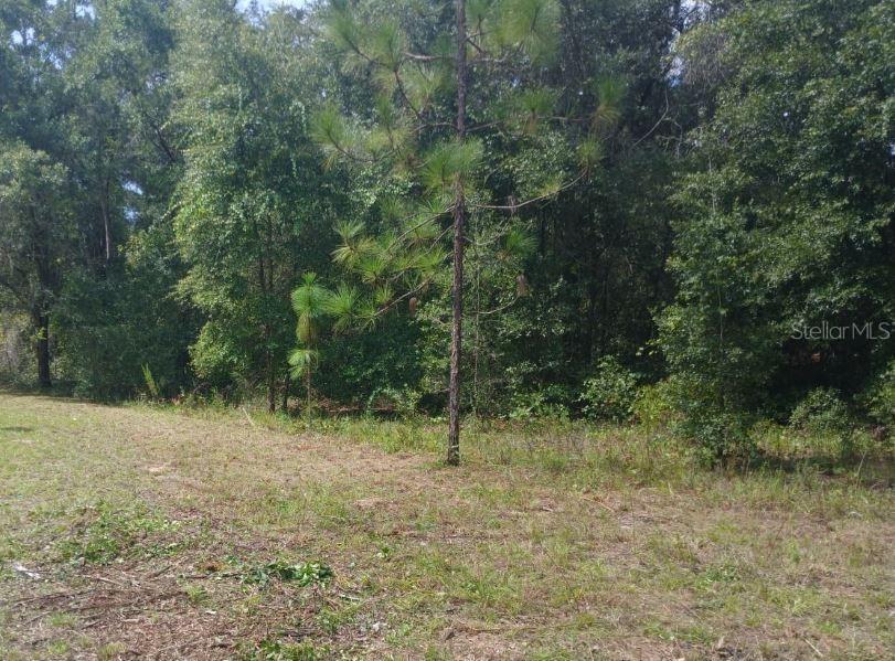 52nd Ave., Ocala, FL 34482