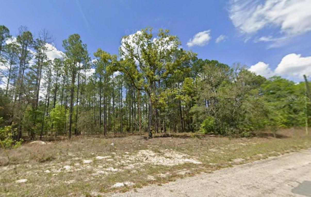 10838 N Ocean Dr., Citrus Springs, FL 34434