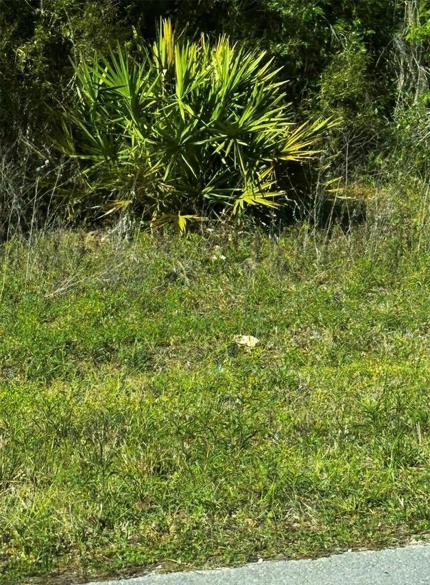 2 SW 24th Pl., Ocala, FL 34481