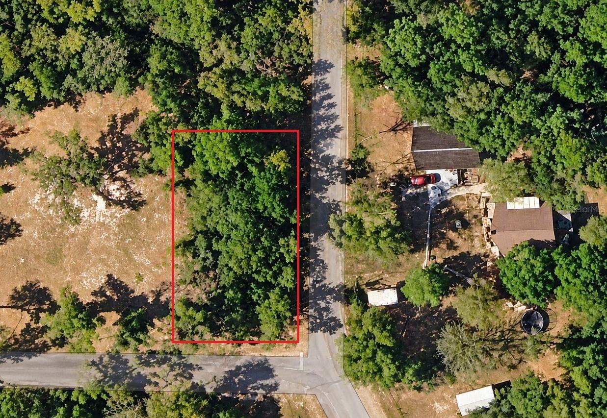 Se 171st Ct, Ocklawaha, FL 32179
