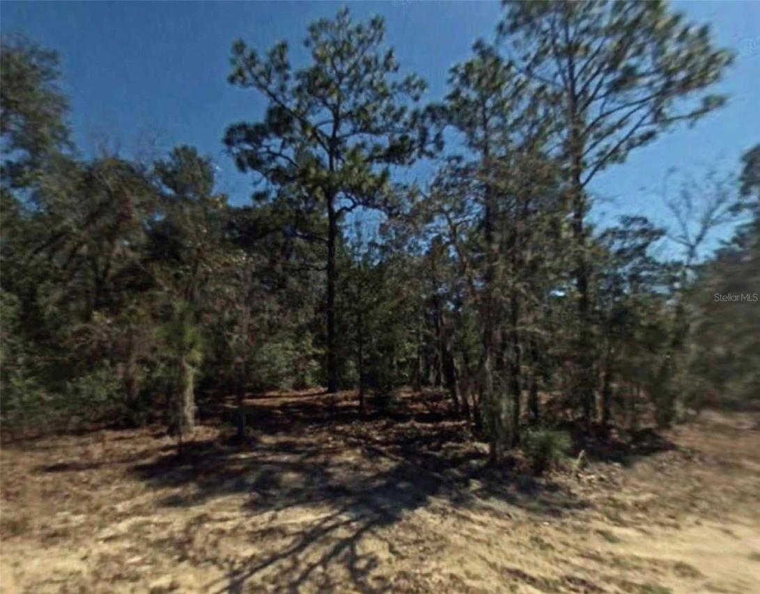 2809 Oakridge St., Inverness, FL 34452