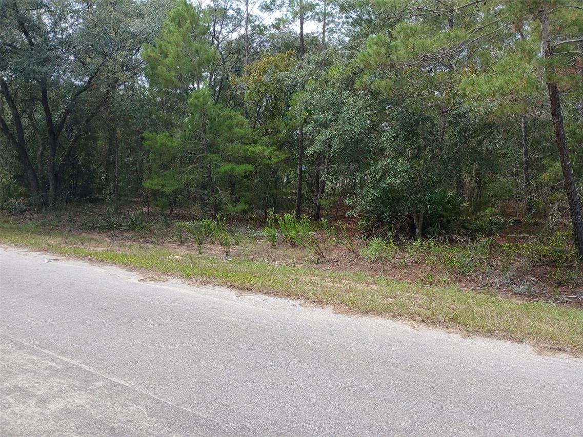 SE Fisher Course #Lot 10, Ocklawaha, FL 32179