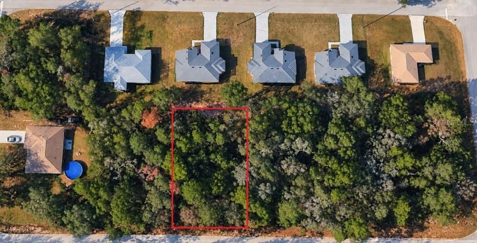 10578 N Allwood Ter., Citrus Springs, FL 34434