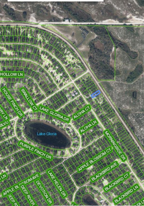 835 Cr 29, Lake Placid, FL 33852