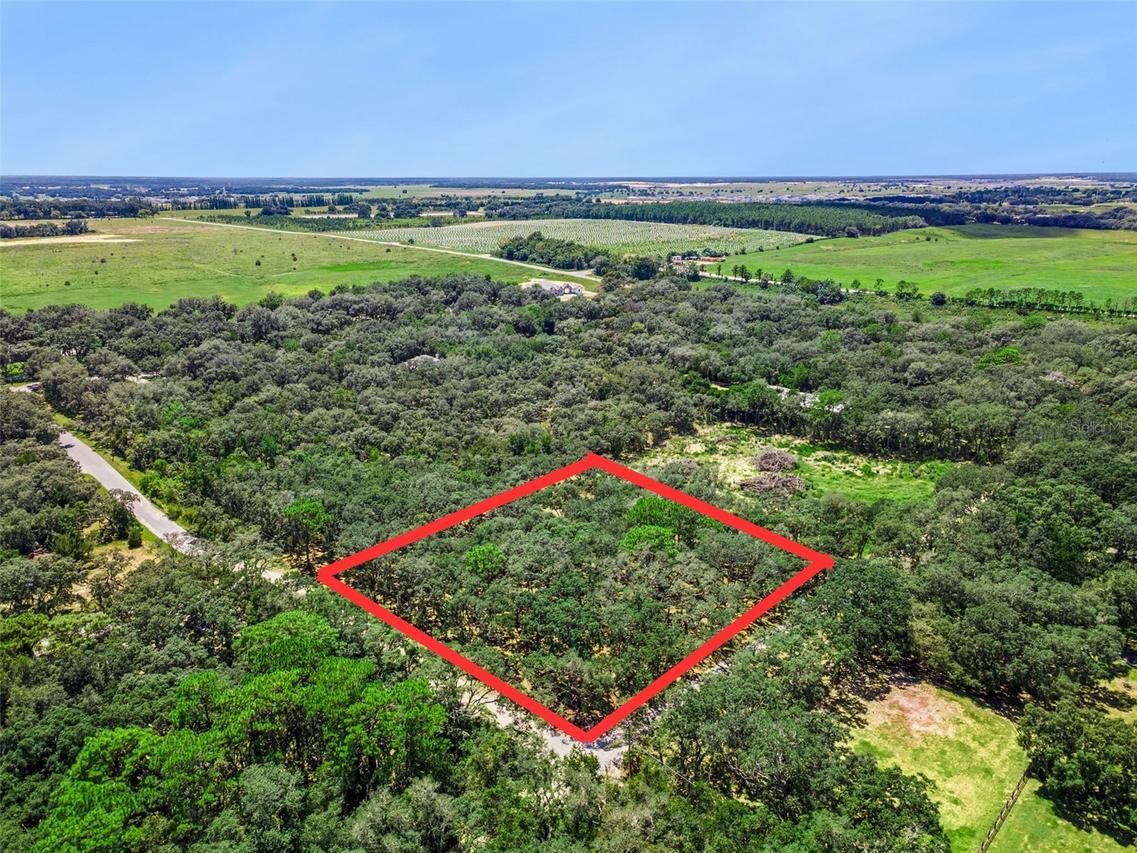 17206 Red Bird Rd., Winter Garden, FL 34787