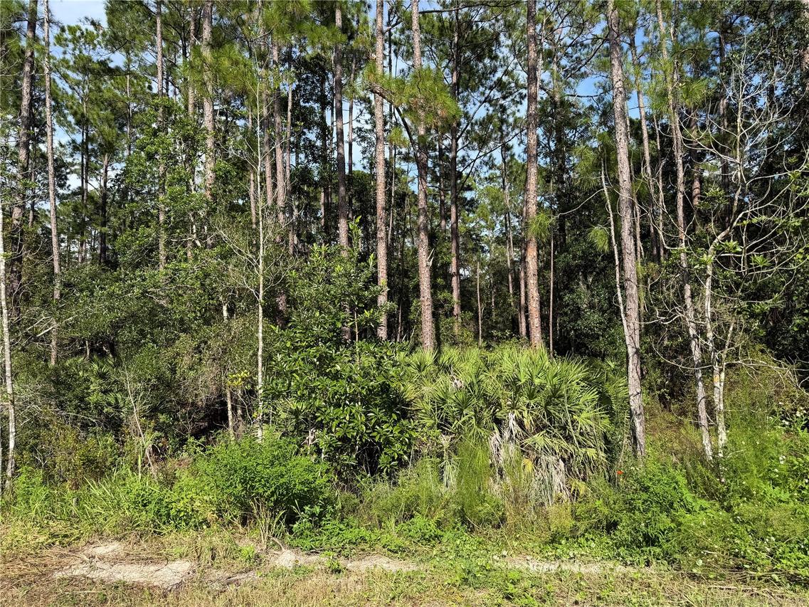 10th Ave., Deland, FL 32724