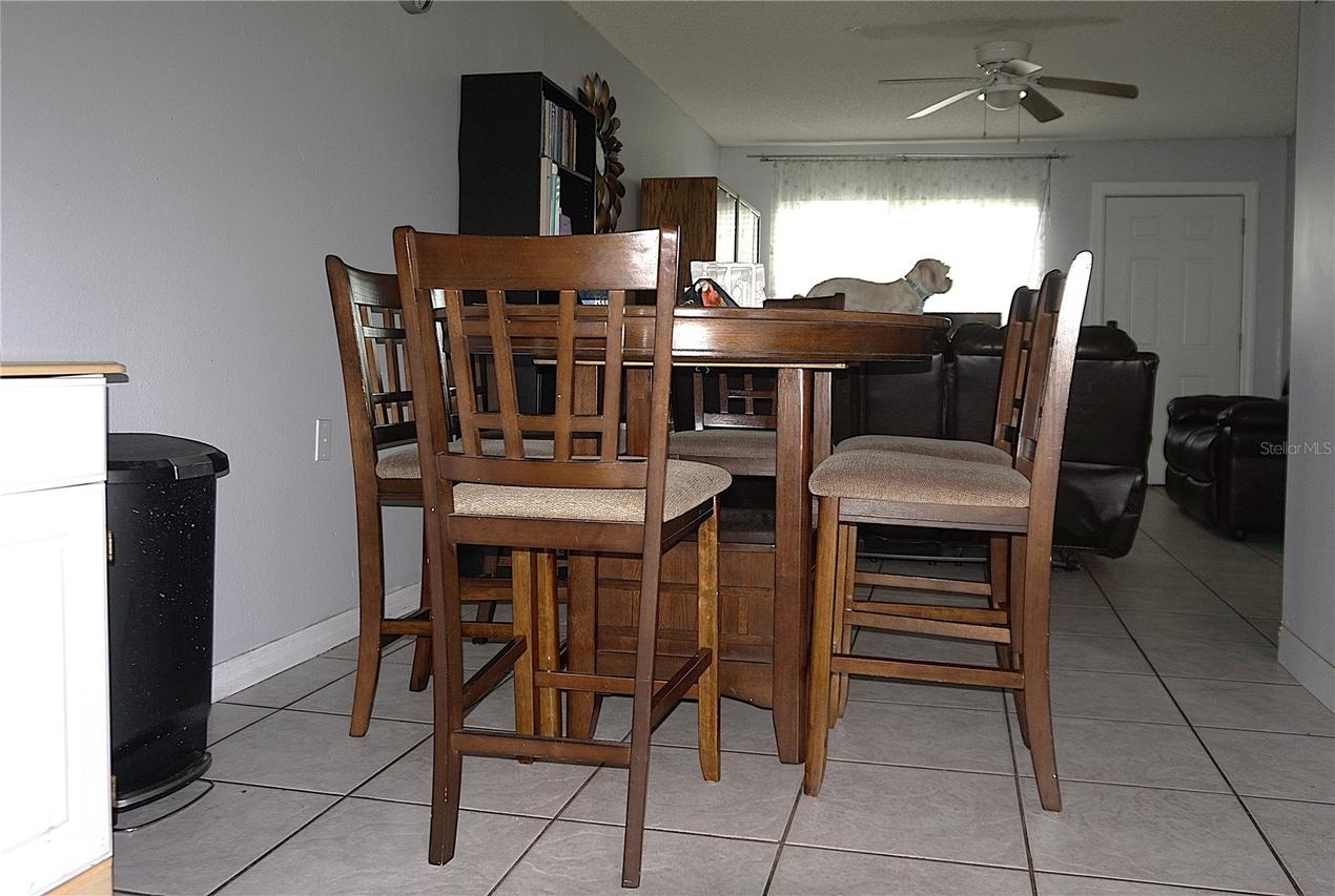 29 E Bob White St., Apopka, FL 32712