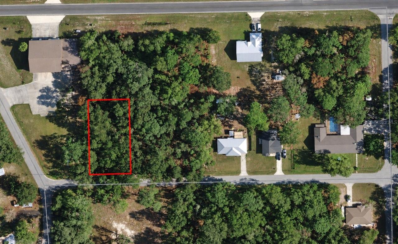 Se 171st Ct, Ocklawaha, FL 32179