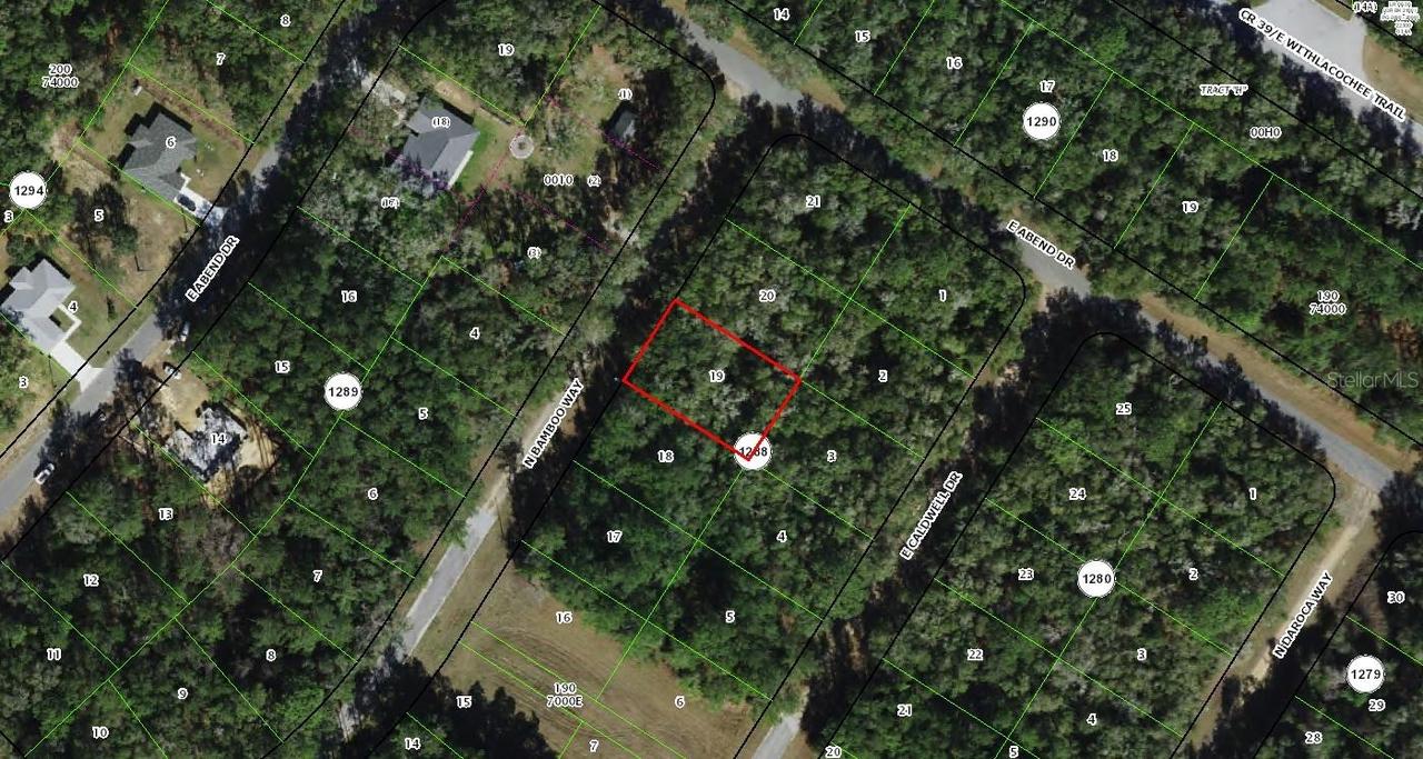 10063 N Bamboo Way, Citrus Springs, FL 34434