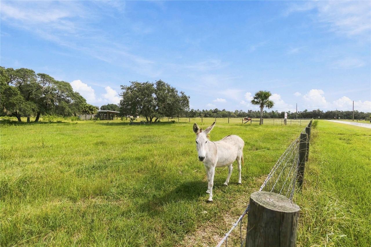 Ranch Rd., Astatula, FL 34705
