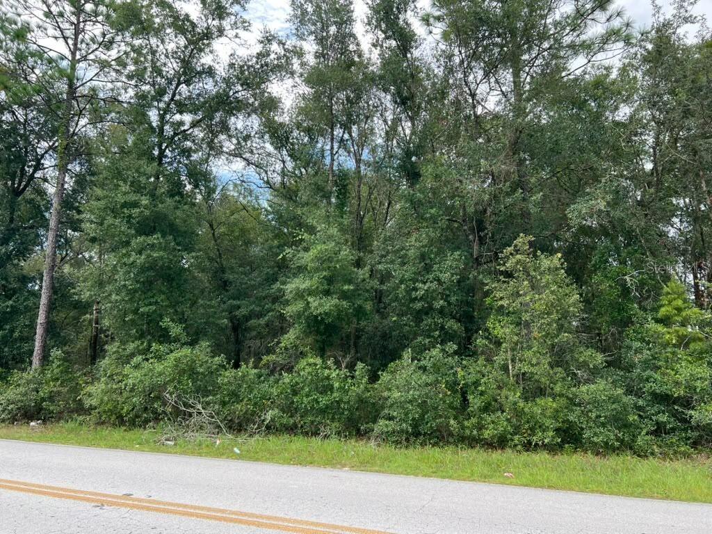 Se 132nd Pl Ocklawaha, Ocklawaha, FL 32179