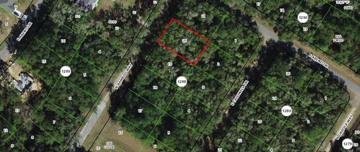10075 N Bamboo Way, Citrus Springs, FL 34434