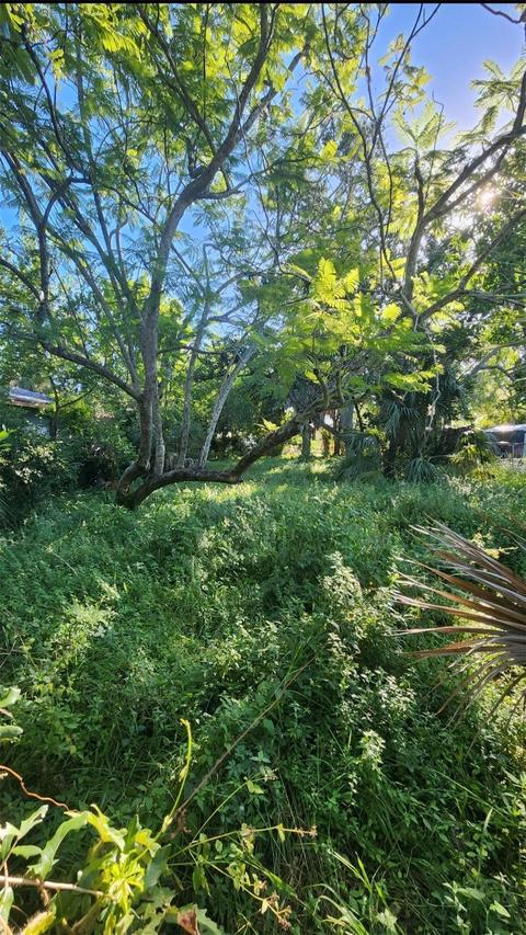 1418 Erie St Shore #LOT 19, St Petersburg, FL 33712