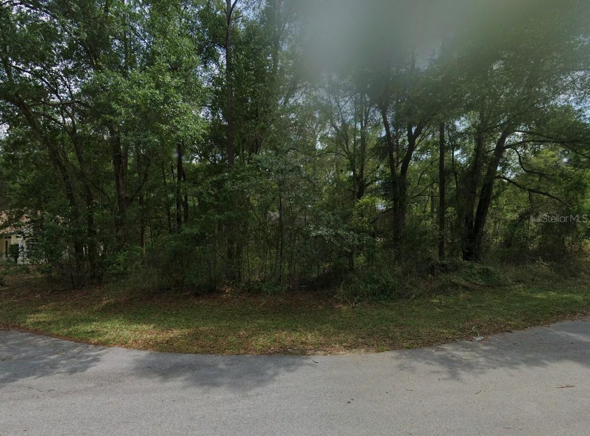 Lot 41 SW 96th St., Dunnellon, FL 34432