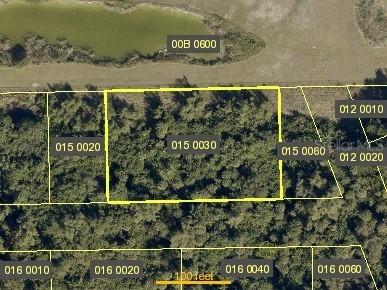 Madrid St., Estero, FL 33928