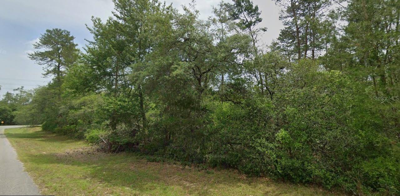 TBD SW 31 Ct., Ocala, FL 34473