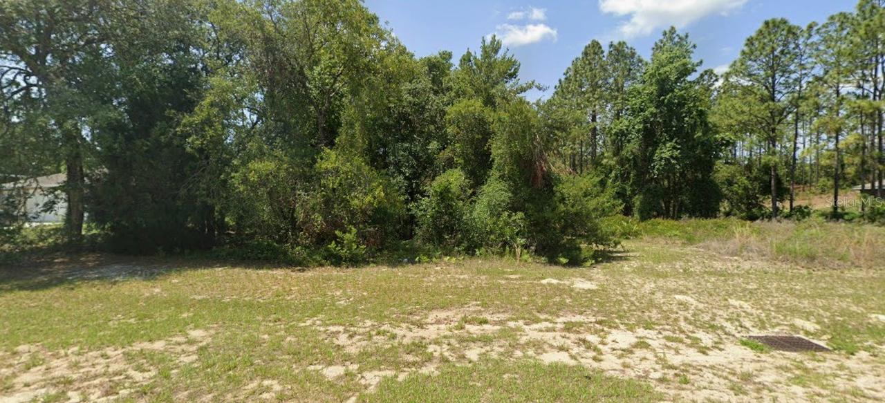 TBD SW 135 St., Ocala, FL 34473