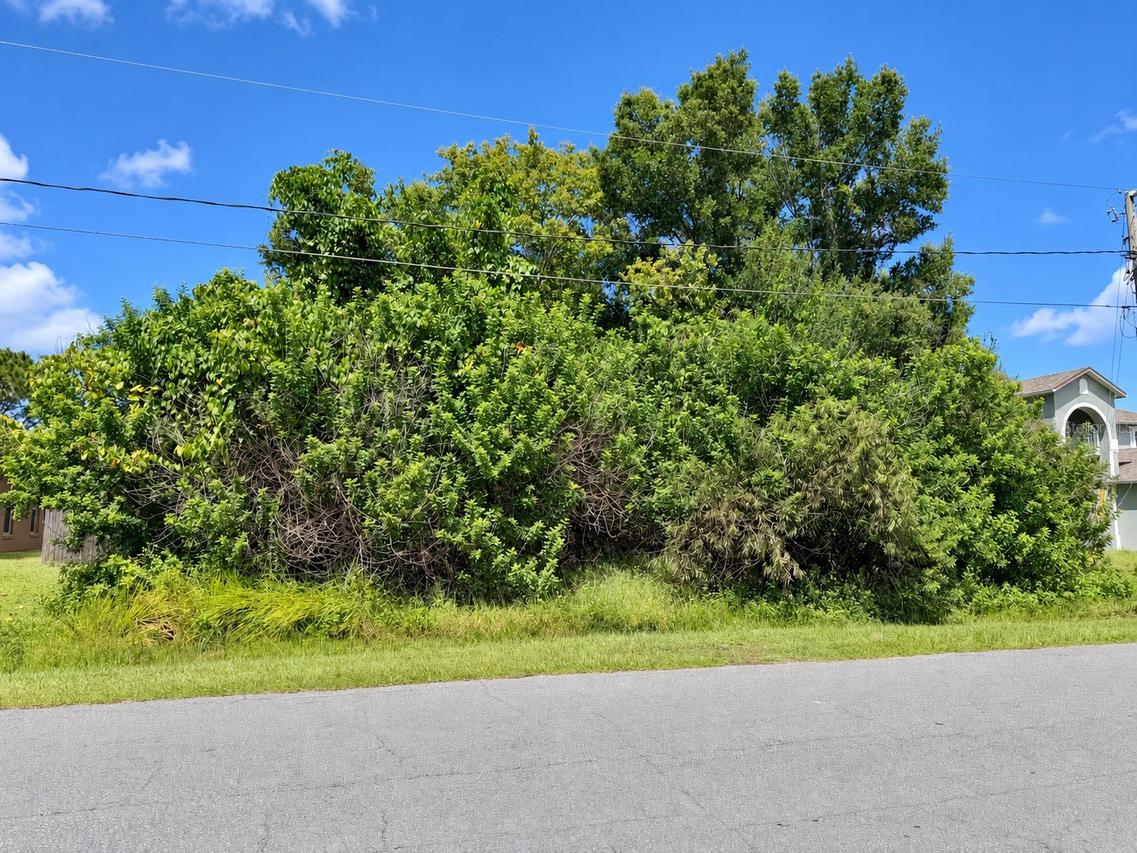 1005 Cannes Dr., Kissimmee, FL 34759