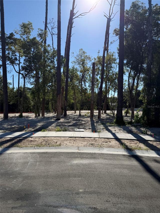 1302 Almaria Ct., Palm Harbor, FL 34683