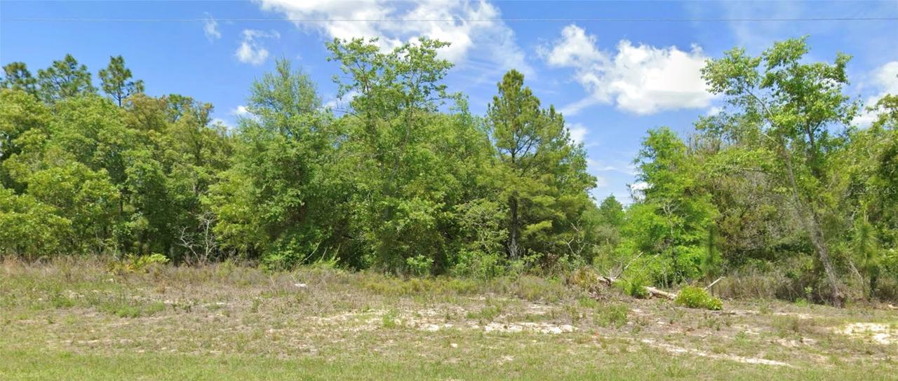 6603 N Bedstrow Blvd., Citrus Springs, FL 34434