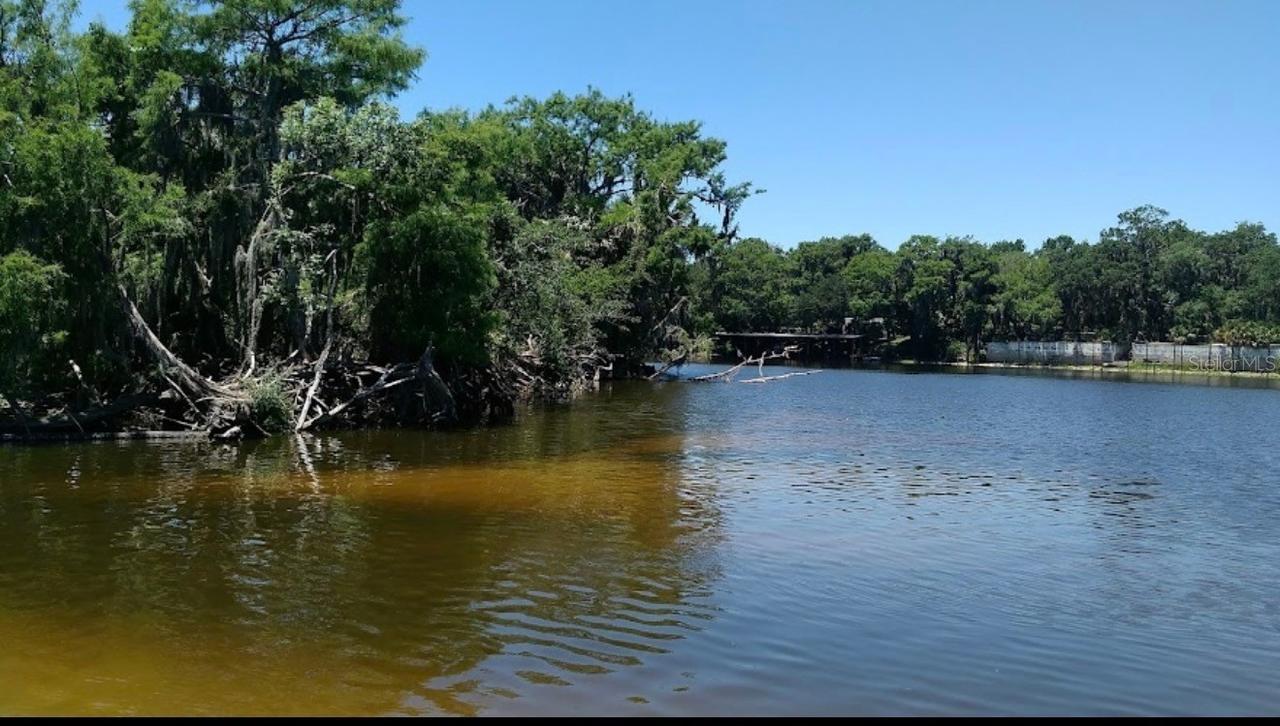 1041 Lemon Bluff Rd., Osteen, FL 32764