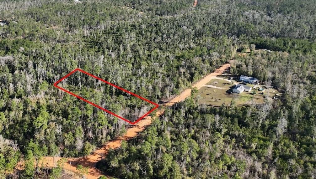 Bienville Ct., Alford, FL 32420