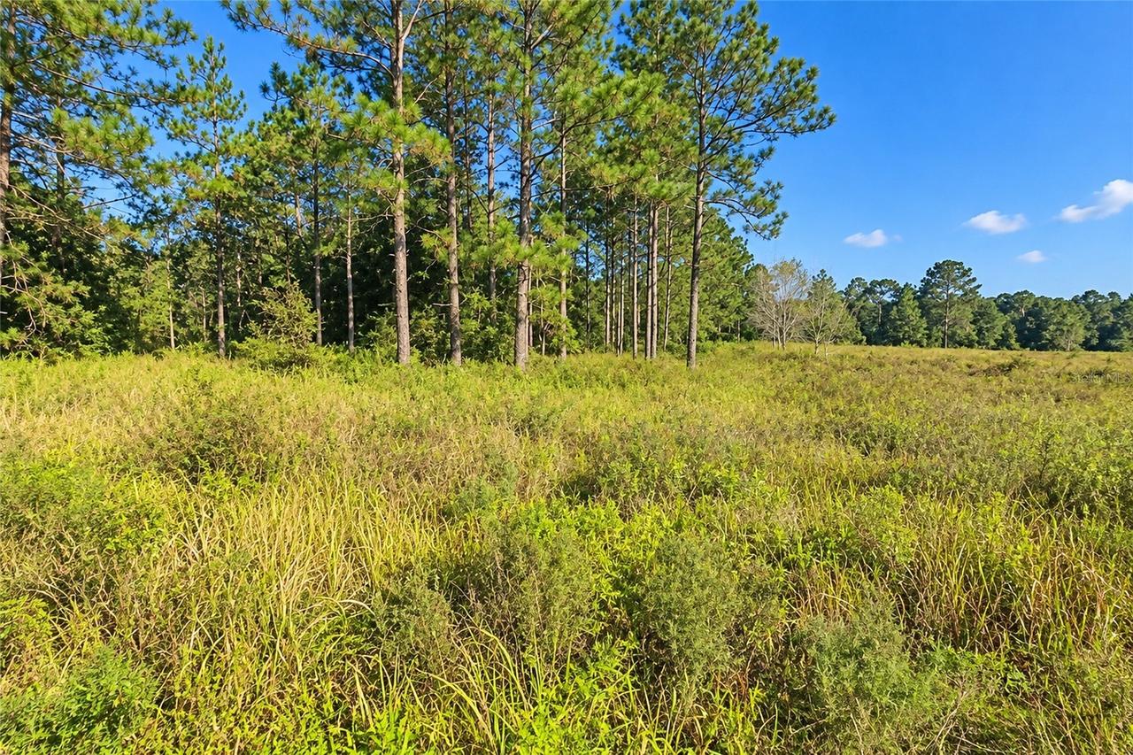 Sw 26th Lane, Ocala, FL 34481