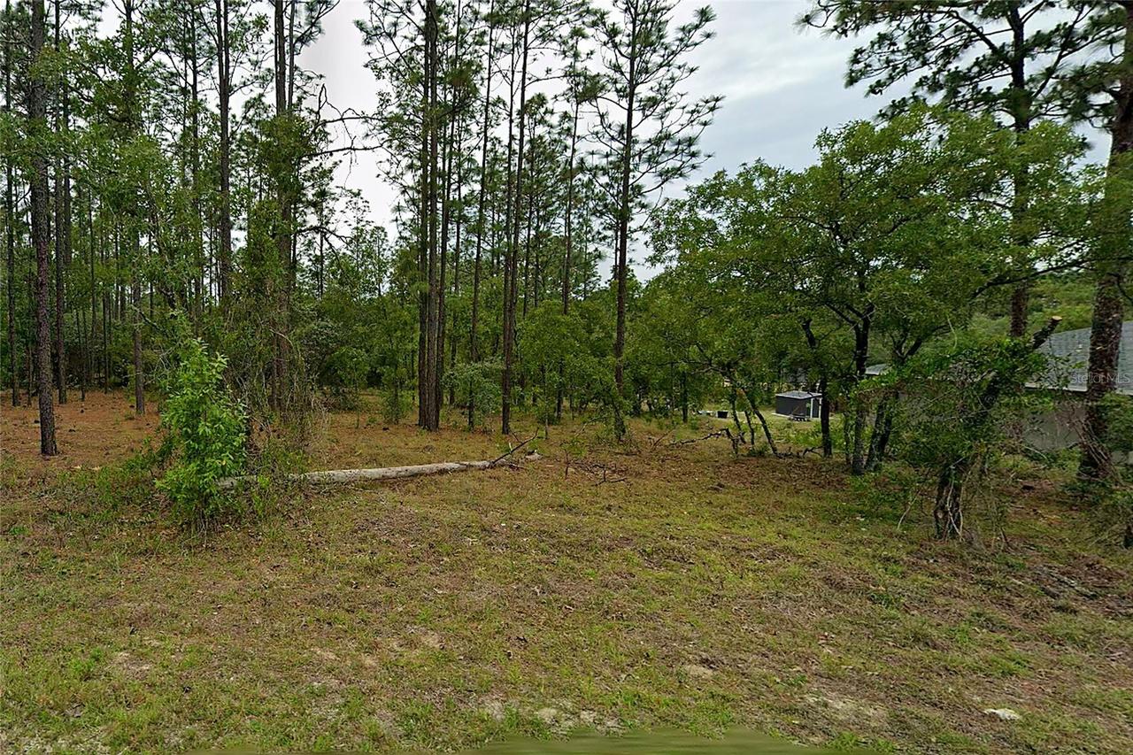Nw Redwood Drive, Dunnellon, FL 34431