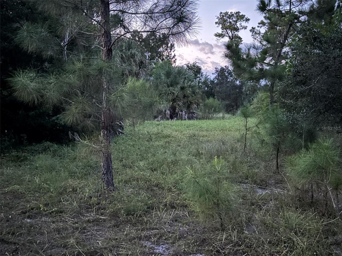 30735-30745 Devon Ct., Eustis, FL 32736