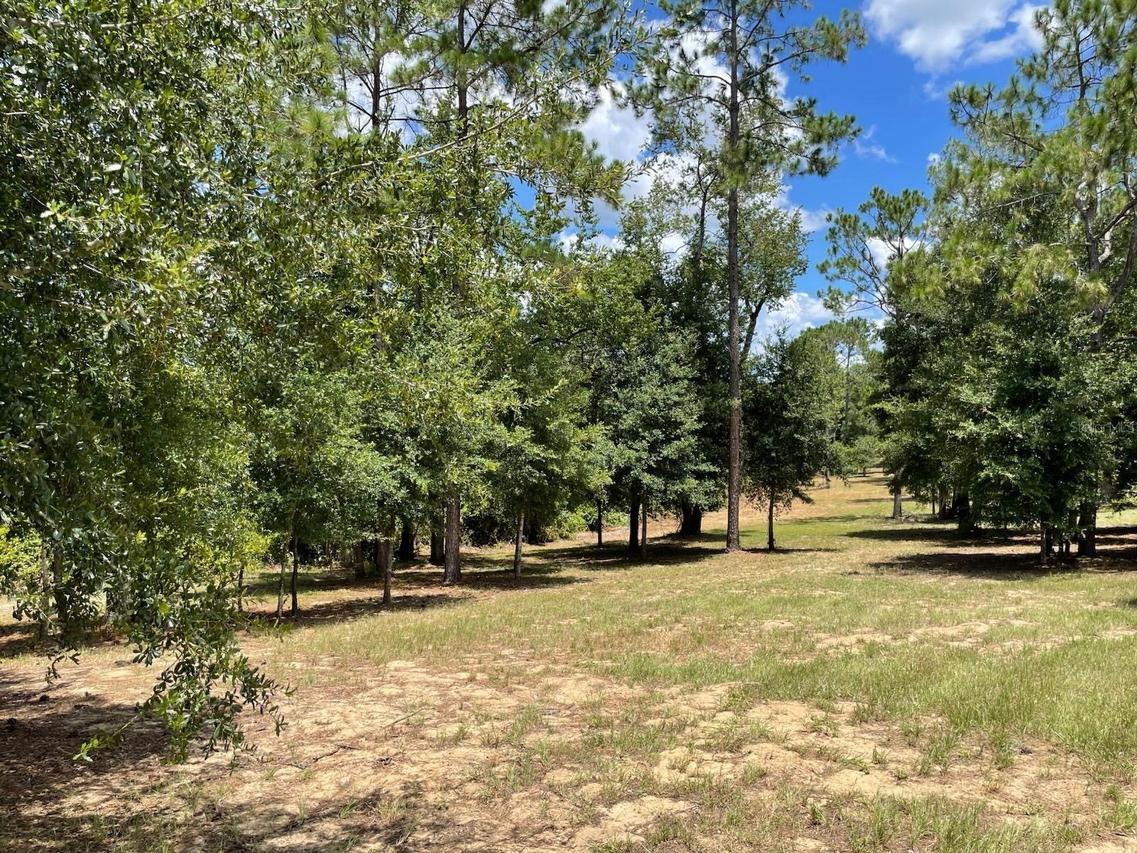 Calhoun Rd., Eustis, FL 32726