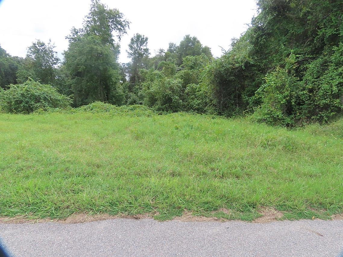 17701 Seidner Rd., Winter Garden, FL 34787