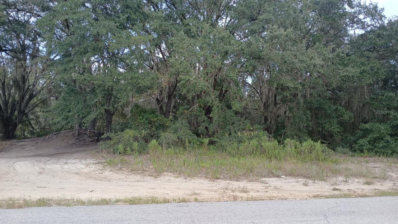 SE Malauka Loop Run Rd., Ocklawaha, FL 32179
