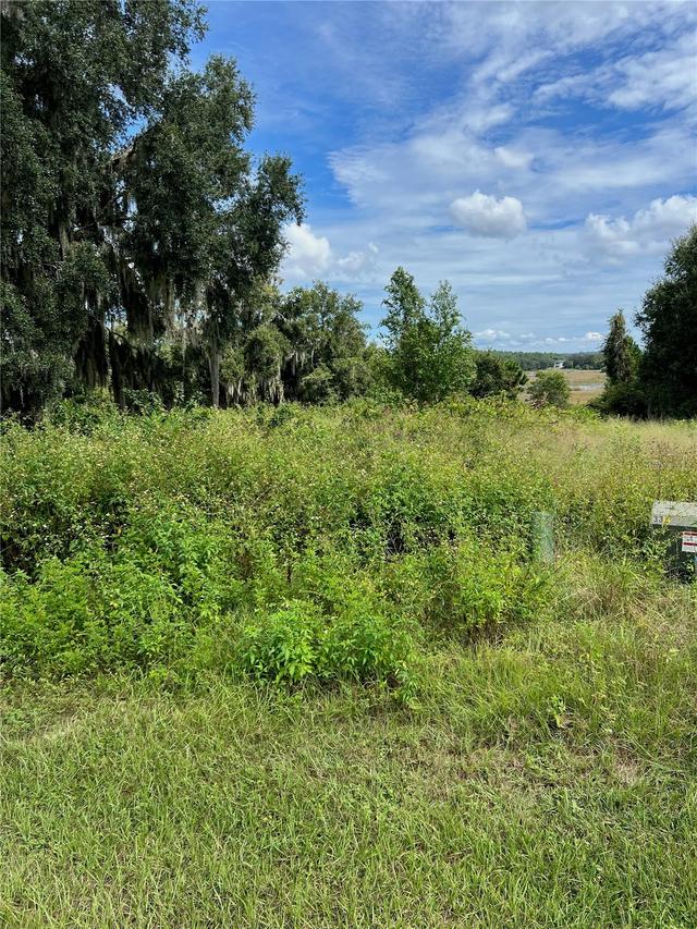 475 Long And Winding Rd., Howey In The Hills, FL 34737