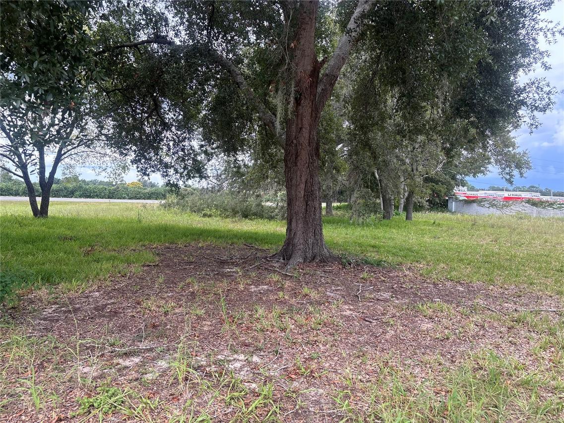 State Road 19, Tavares, FL 32778