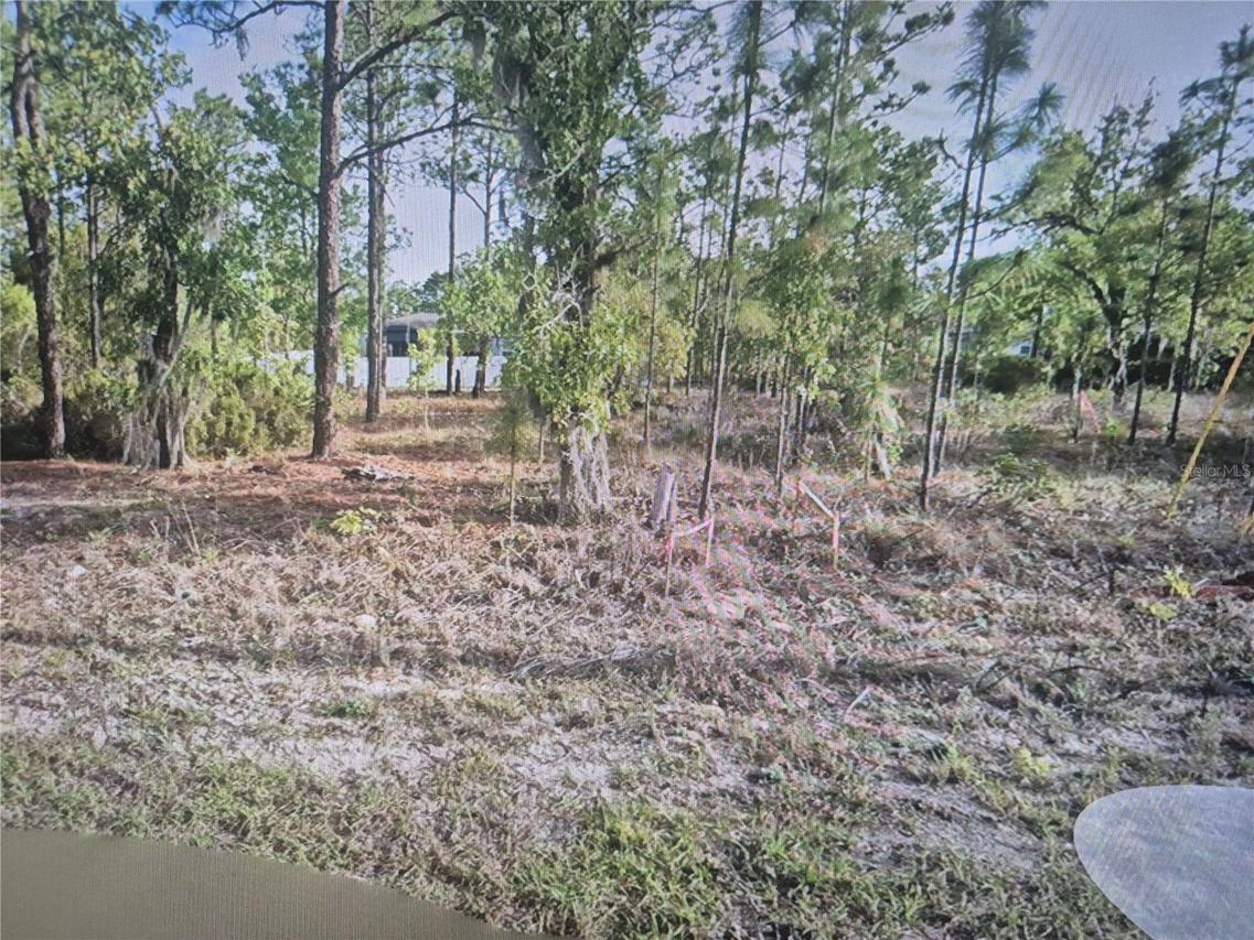 2651 W Bravura Dr., Citrus Springs, FL 34433
