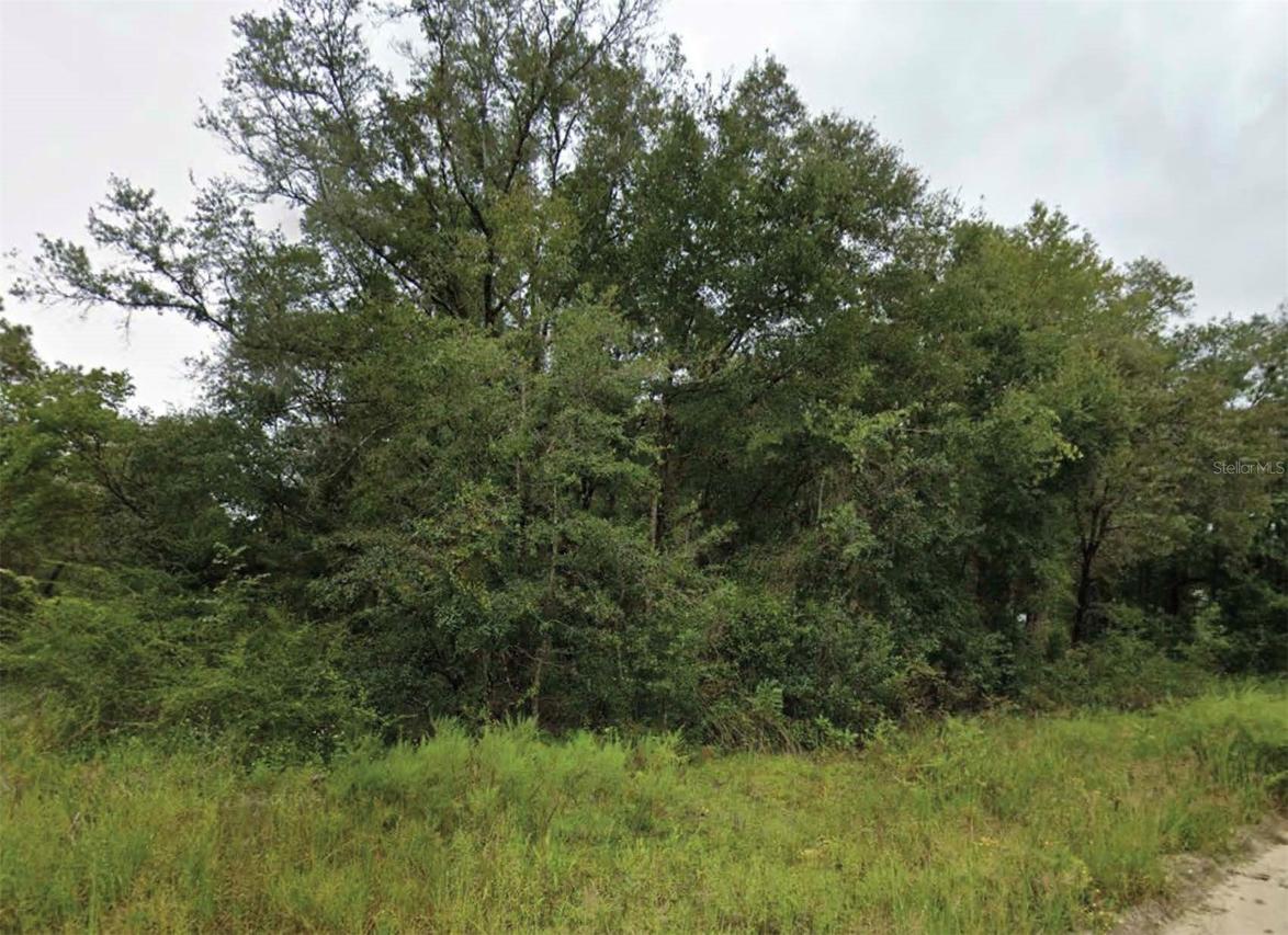 NE 2nd Pl., Williston, FL 32696
