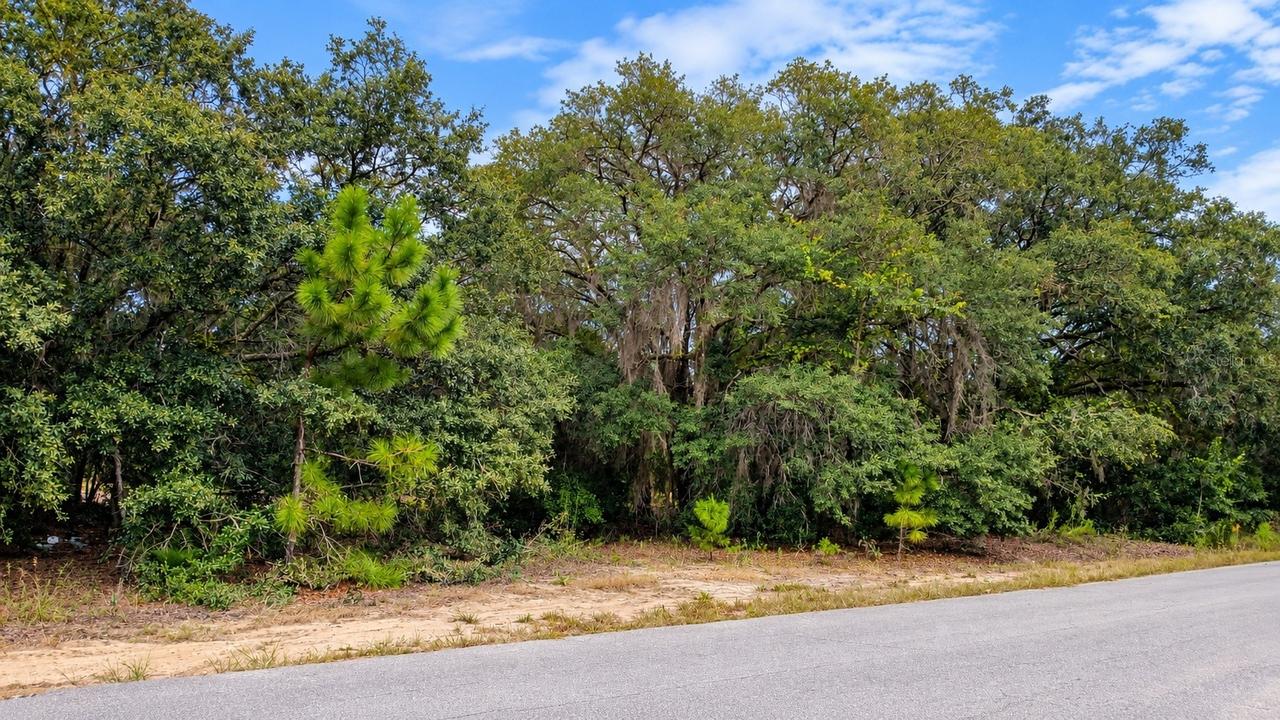TBD SE Malauka Loop Run Rd., Ocklawaha, FL 32179